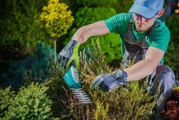 landscaping services Fort Wright
